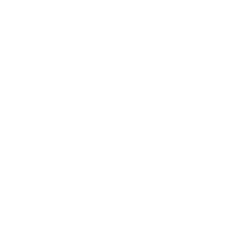 Zentric AI